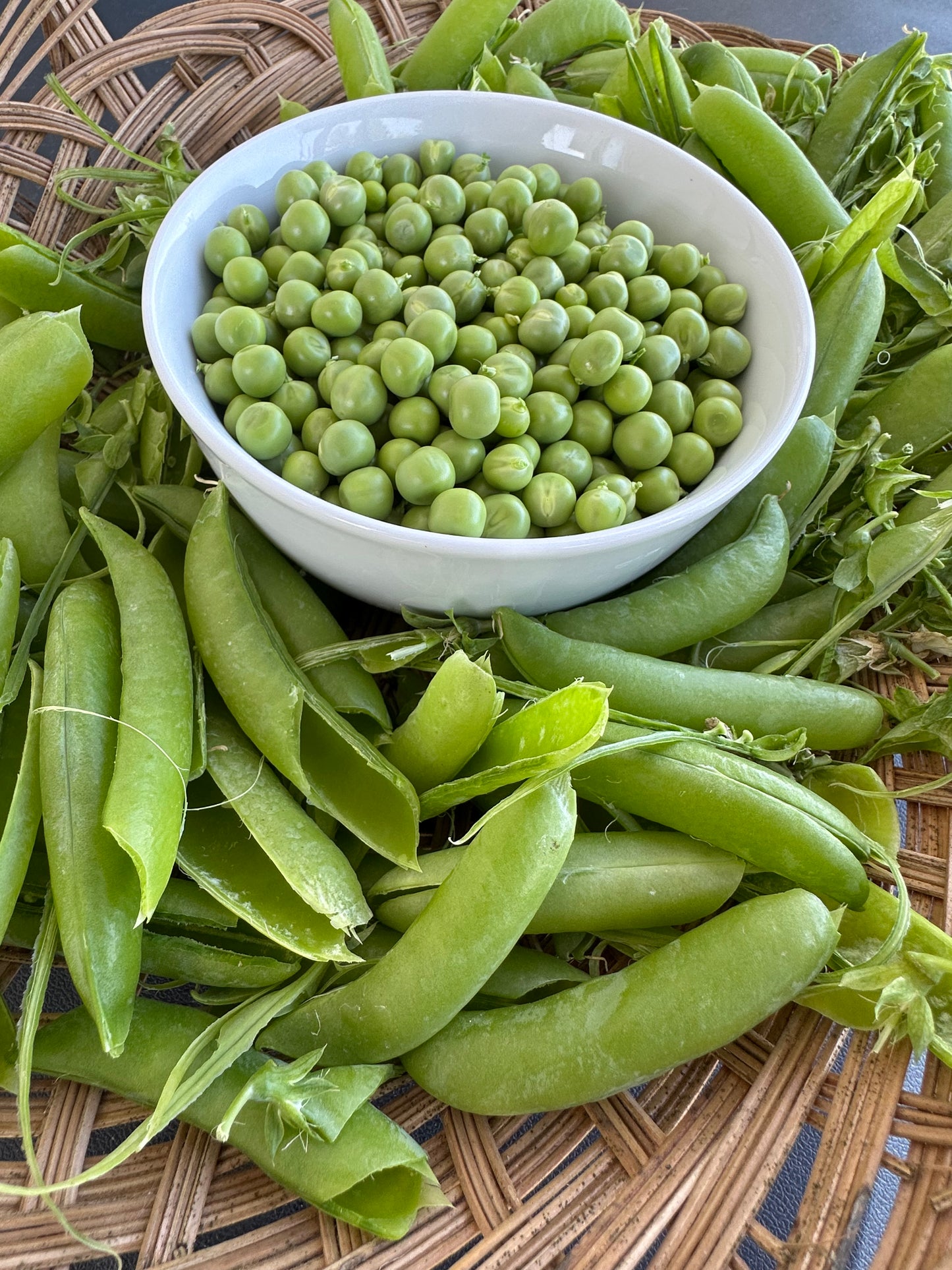 Peas - Lincoln Homesteader